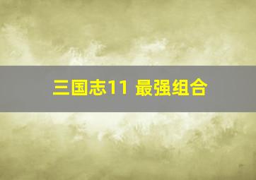 三国志11 最强组合